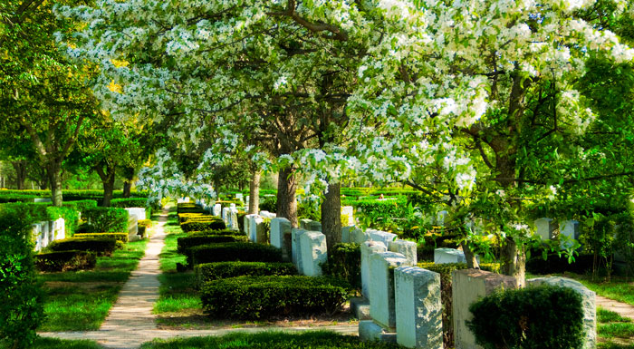 New Montefiore Cemetery in West Babylon, NY